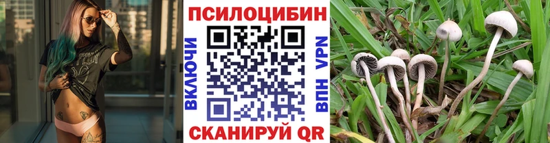 Псилоцибиновые грибы GOLDEN TEACHER  Полтавская 