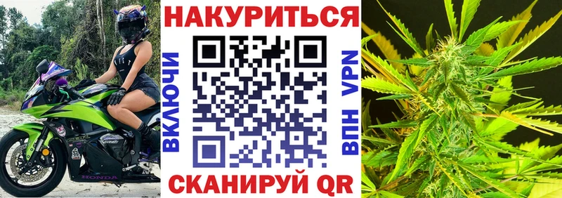 дарк нет клад  Полтавская  Конопля ГИДРОПОН 
